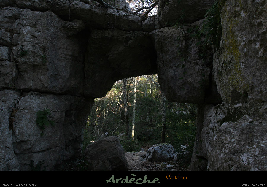 20101218_paiolive_boisdesoiseaux_arche1