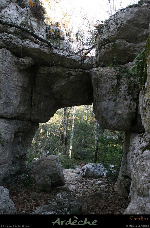 20101218_paiolive_boisdesoiseaux_arche2
