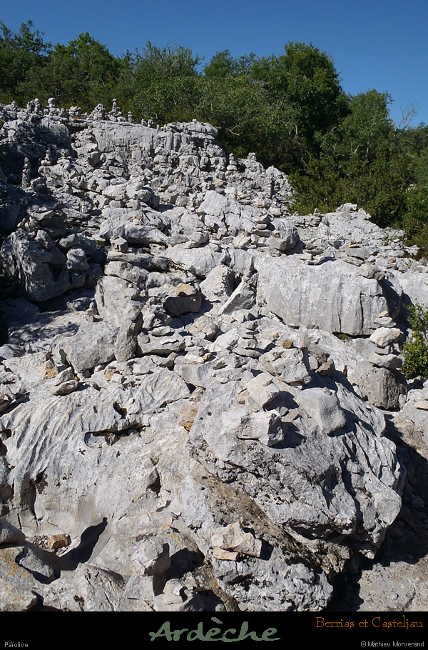 20120622_berriasetcasteljau_paiolive_cairns