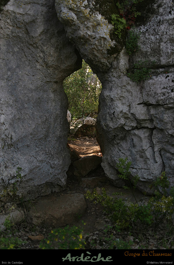 20130417_boisdecasteljau05