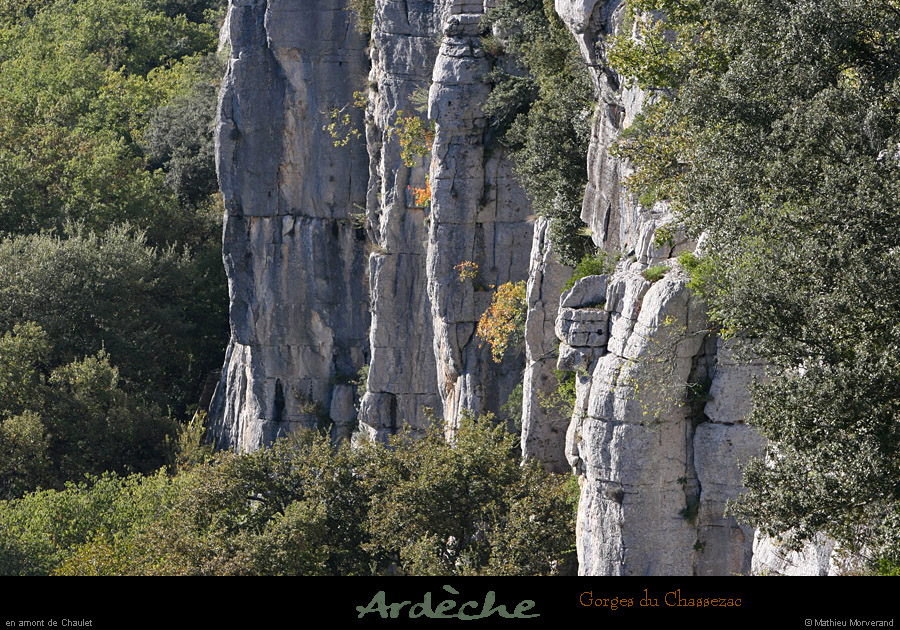 20081026_chassezac_amchaulet05