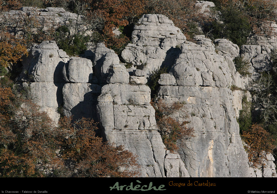 20101218_falaisesdenailledebelvoiseaux06