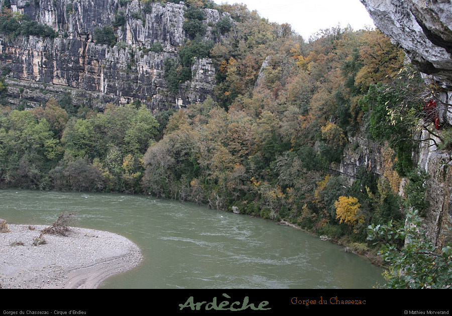20081106_47