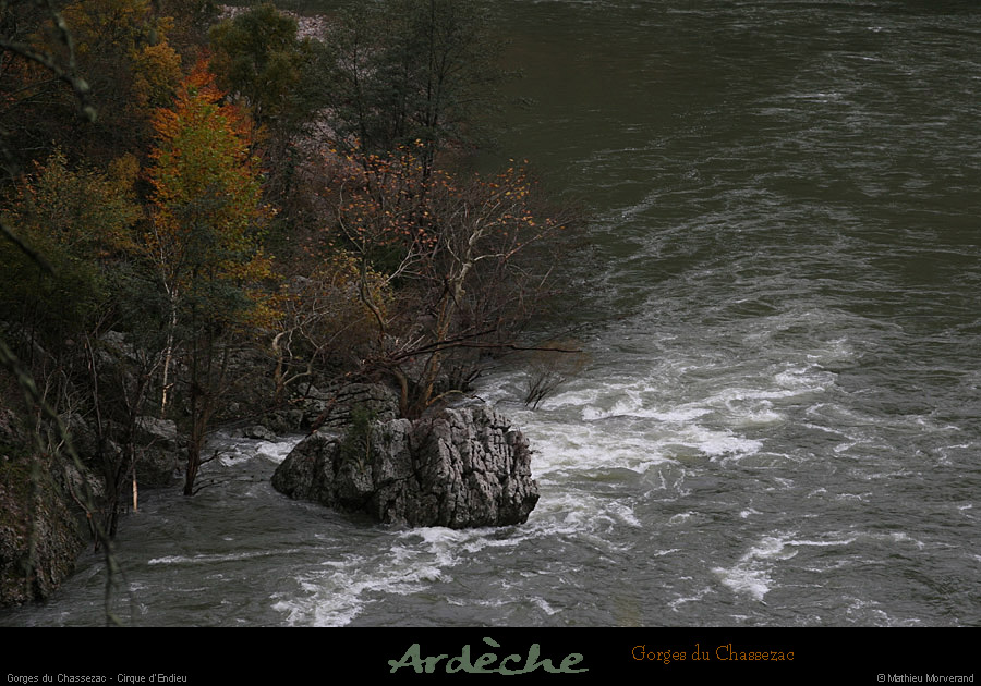 20081106_49