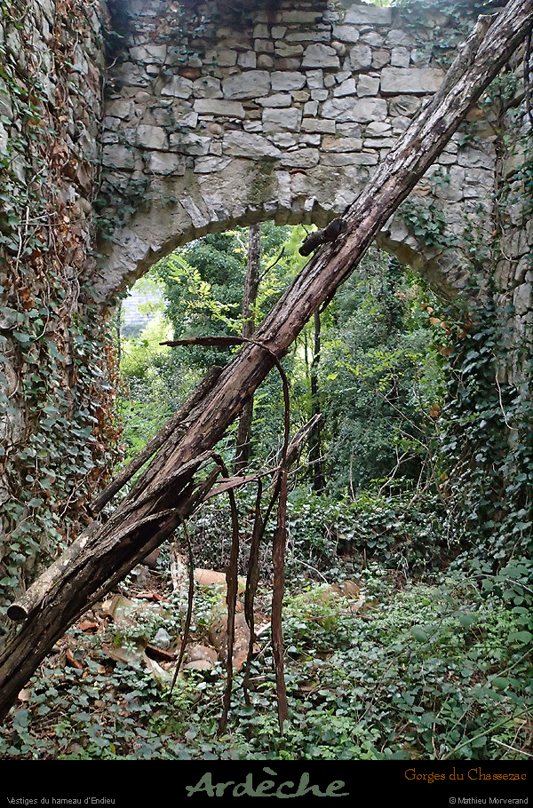 20151017_006