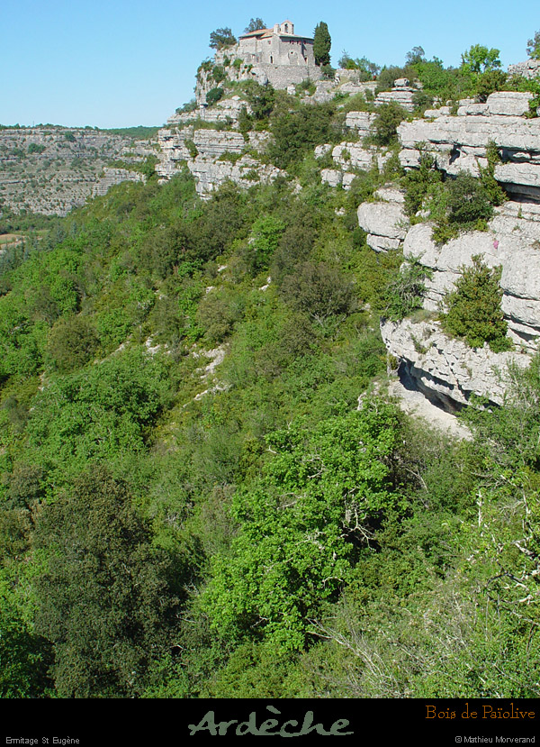 20030503_ermitagesteugeneparlesud_09