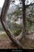 20150321_gorgeschassezac_cornichegleyzasse1