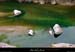 20010206_chassezacacasteljau_3