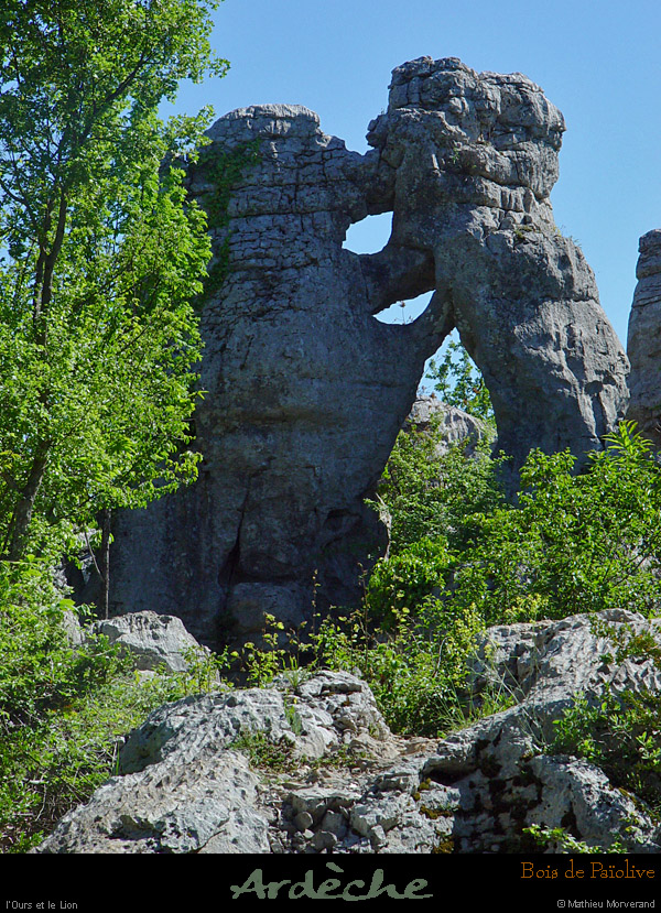 20030503_boispaiolive_loursetlelion_1