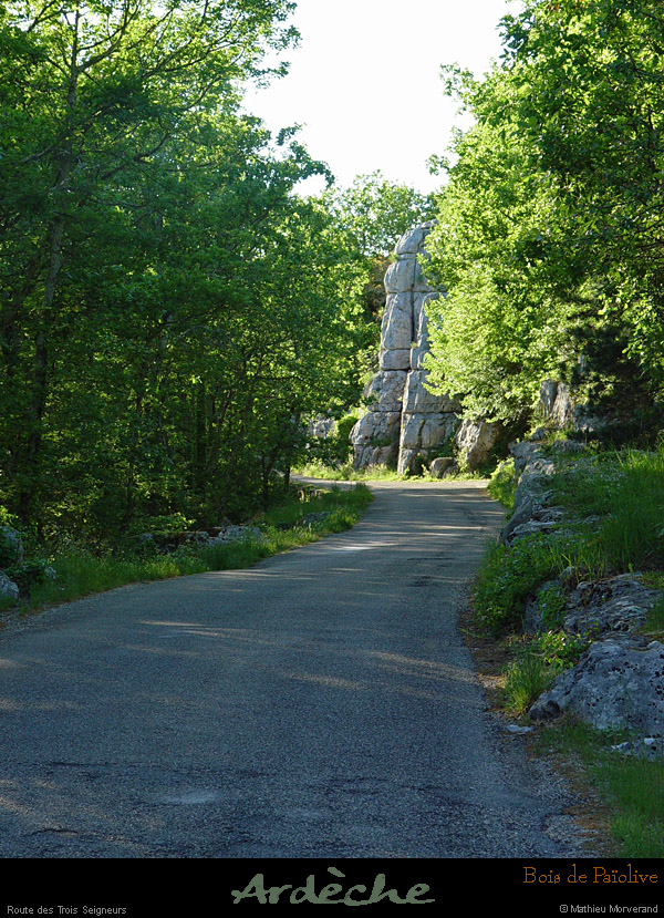 20030503_boispaiolive_route_1