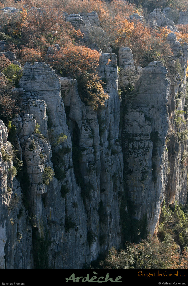 20101218_rancdefromentdebelvoiseaux07