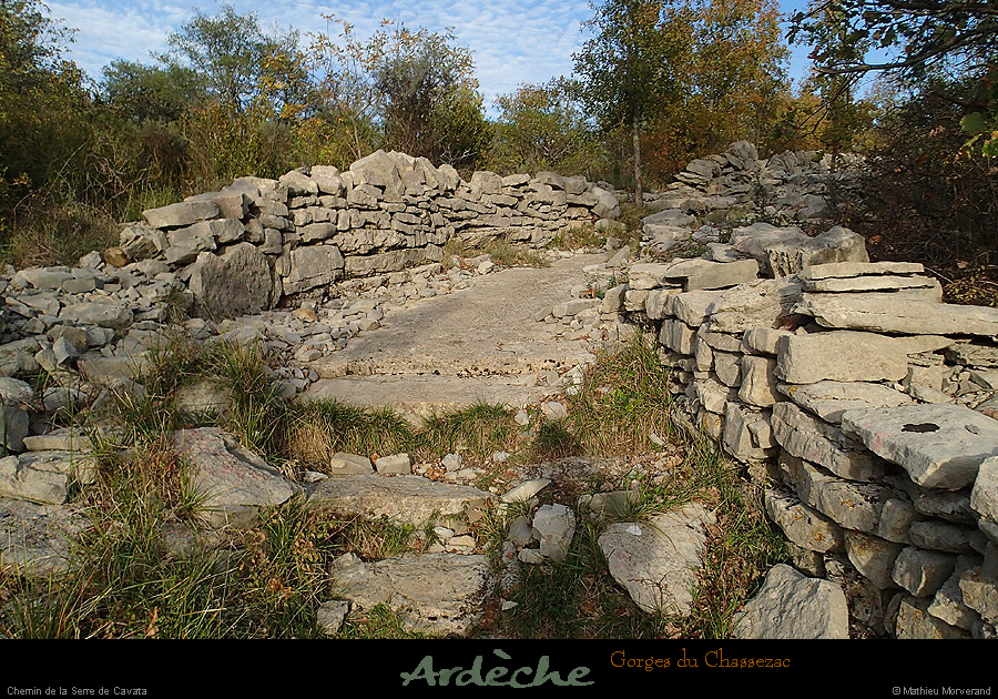 20151017_071