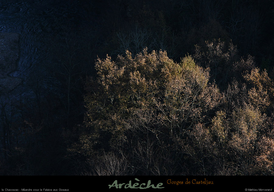 20101218_meandressfalaiseoiseaux1