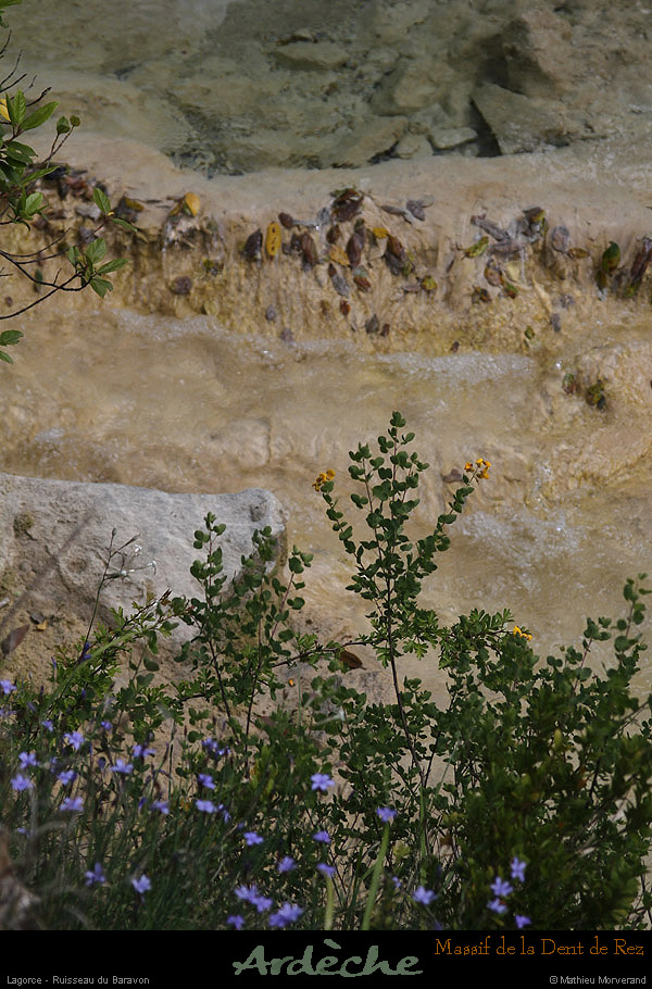 20130526_lagorce_baravon_ruisseau007