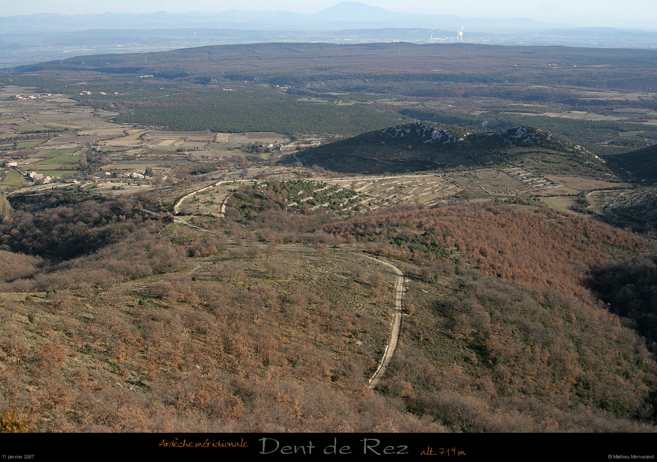 20070111_dentderez_002