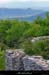 20010503_rez_2nderuine_5