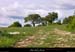 20010503_rez_moucharalede_1