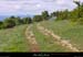 20010503_rez_moucharalede_4