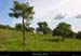 20010503_rez_moucharalede_6