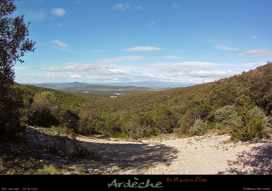 20120420_stmauriceibie_boissauvage_coldecoze