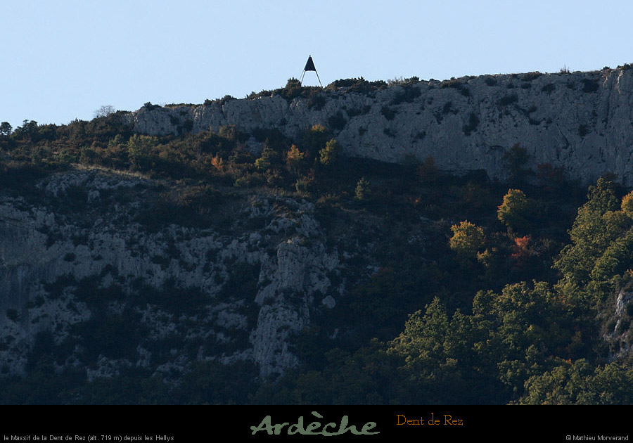 20081004_dentderezborne