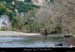20021111_branches1