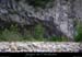 20080506_baumebranches1