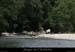 20090603_branchesparam