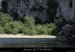 20110515_branchesrd1