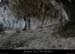 20120205_baumebranches
