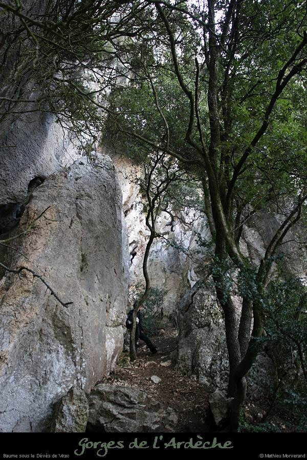 20110209_ssdevesdeviracampa_baume2_01