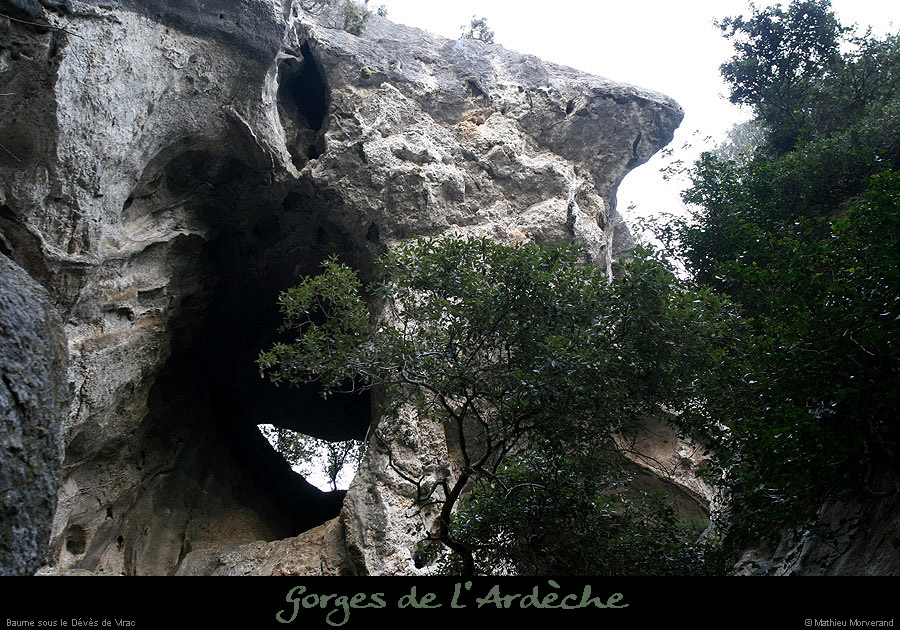 20110209_ssdevesdeviracampa_baume2_11