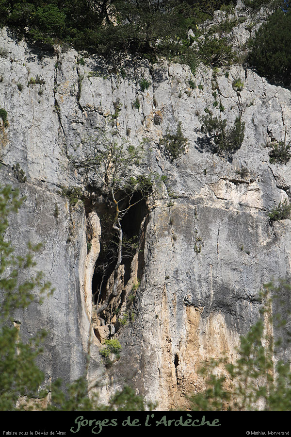 20110410_falaise_devesdevirac4