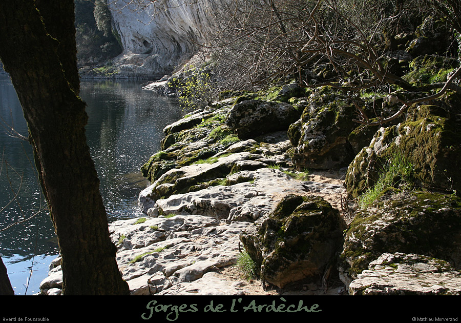 20080323_foussoubieevent