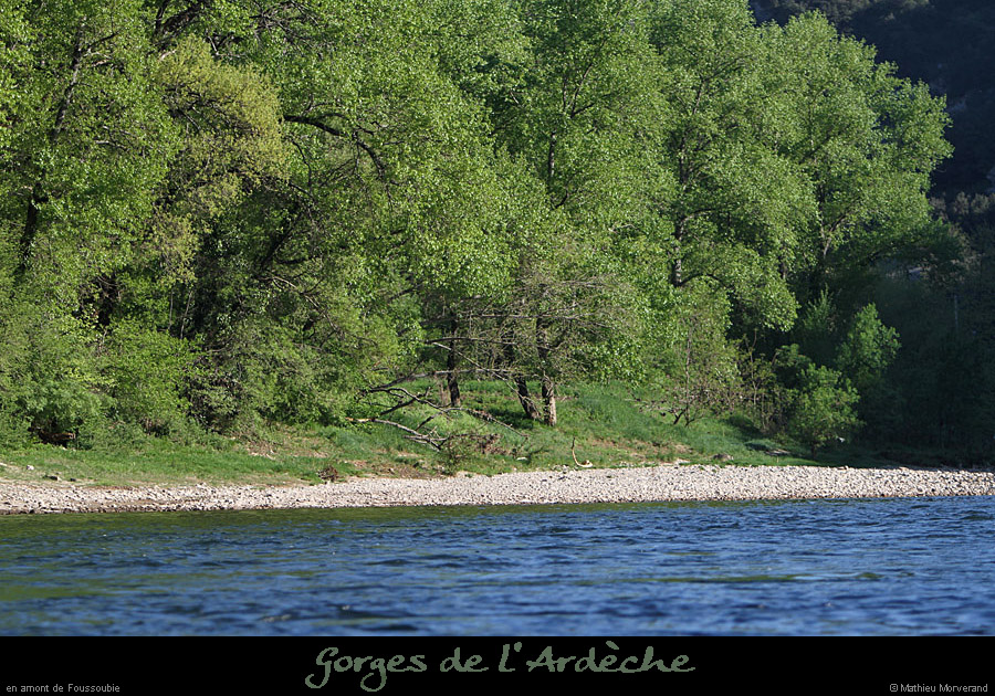 20110410_foussoubie_am2