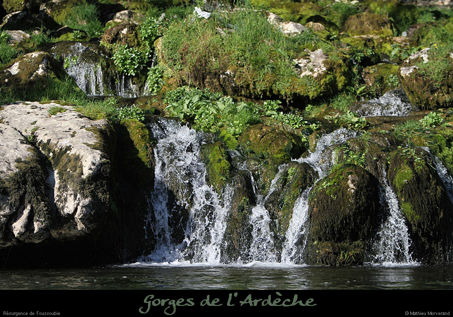 20110410_foussoubie_ressurgence8