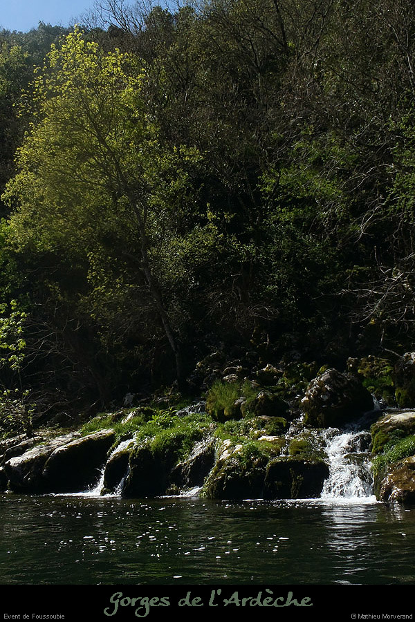 20130417_foussoubie1