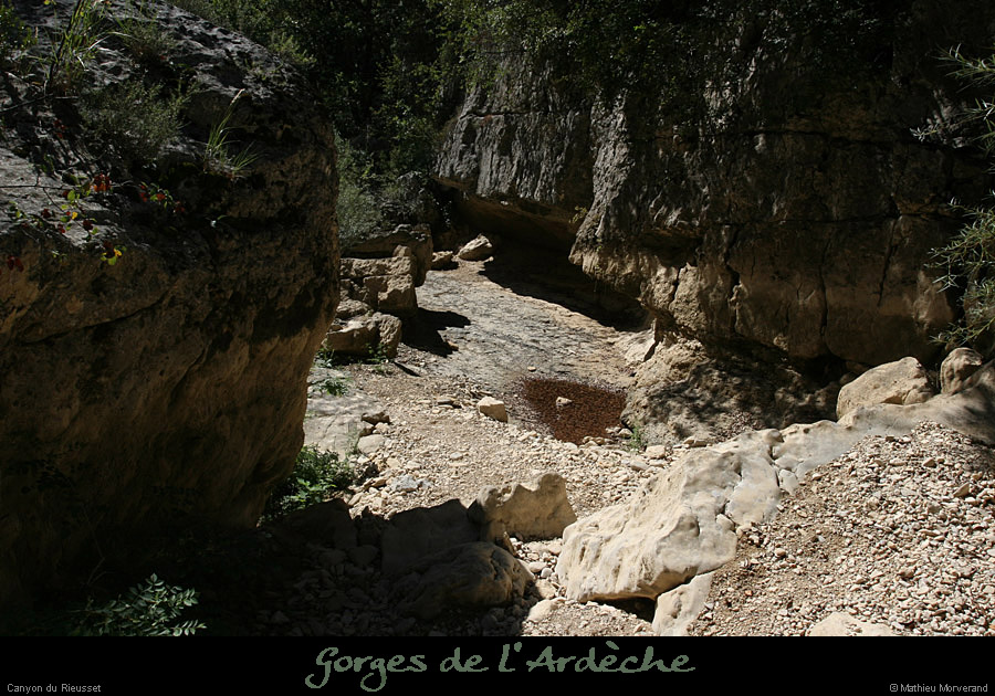 20100821_rieussetp01d