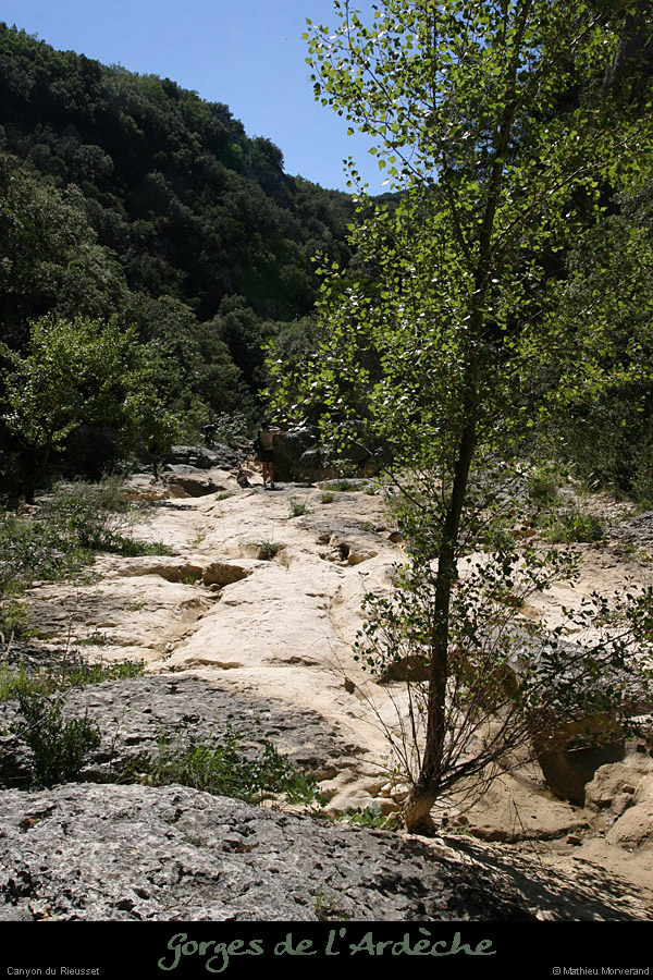 20100821_rieussetp01i