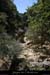20100821_rieussetp01b