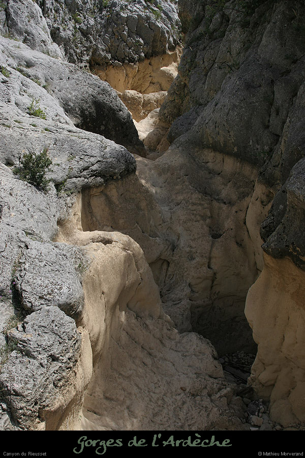 20060825_rieusset16