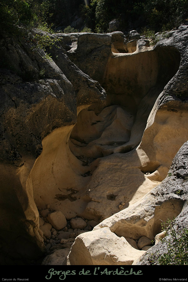 20100821_rieussetp11a