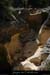 20100821_rieussetp11a