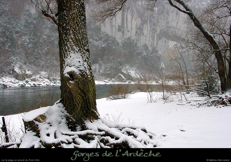 20011214_amptdarcrd1