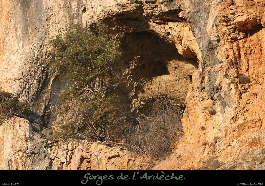 20070120_cirquestre1