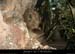20130120_cirqueestre_grottechauvet_entree1