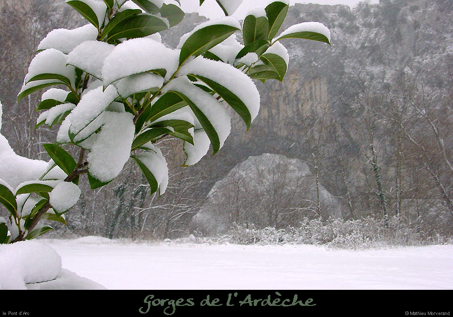 20011214_ptarcneigeam3
