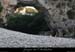 20090709_ptdarcparaval