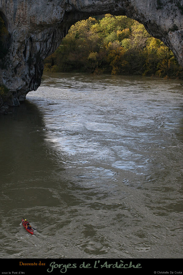 20081103_ptdarc3