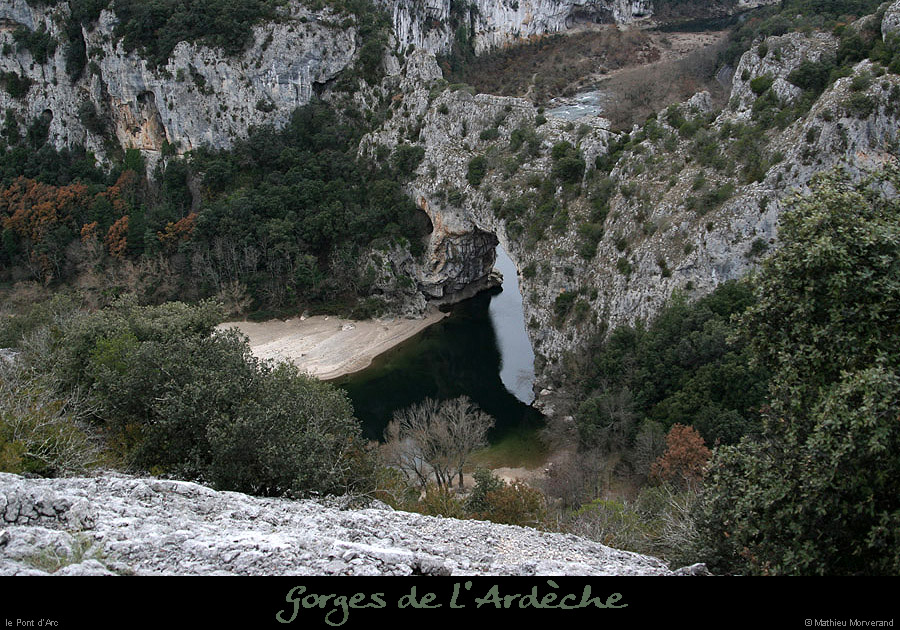20071203_ptdarc3